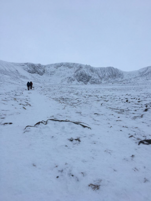 1 Great conditions for this week's winter skills & winter mountaineering courses