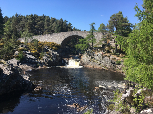 3 Summer in the Cairngorms #rockclimbing #mountainbiking #mountaineering #wildswimming