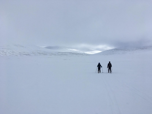 1 SNOW!...Ski touring time!